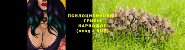 гидропоника Богданович