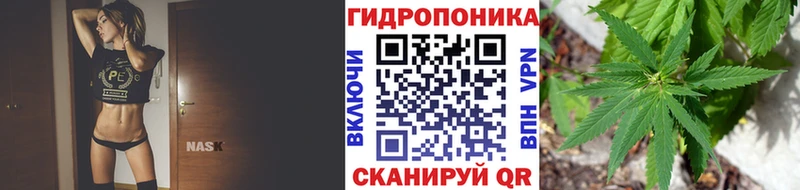 Каннабис White Widow  цены   Верхний Тагил 